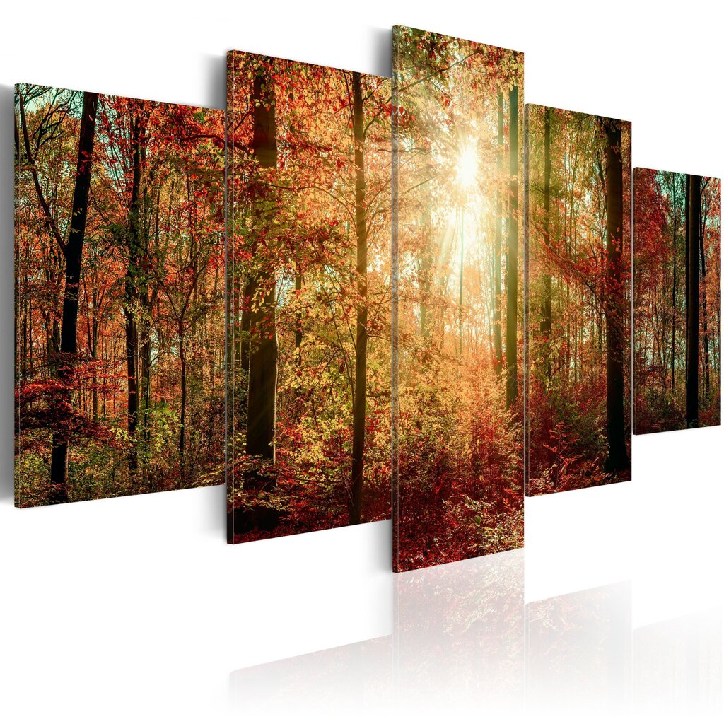 Maal - Autumn Wilderness цена и информация | Seinapildid | kaup24.ee