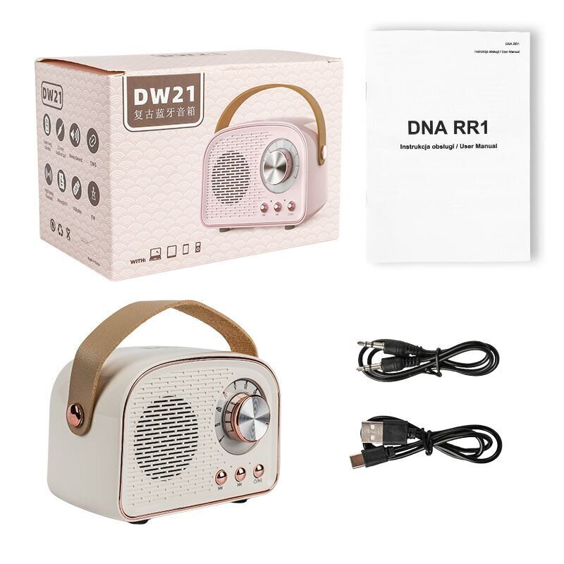 DNA RR1 hind ja info | Raadiod ja äratuskellad | kaup24.ee