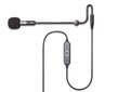 Antlion Audio ModMic USB hind ja info | Mikrofonid | kaup24.ee