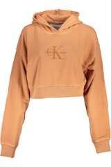 свитер calvin klein j20j221934 J20J221934_ARSEC_L цена и информация | Женские толстовки | kaup24.ee