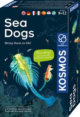 Креативный набор Sea Dogs 8 лет + цена и информация | Развивающие игрушки и игры | kaup24.ee