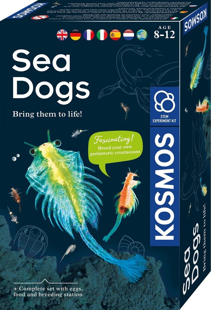 Loominguline komplekt Sea Dogs 8 aastat+ цена и информация | Arendavad mänguasjad | kaup24.ee