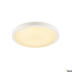 SLV потолочный светильник Ainos цена и информация | Потолочные светильники | kaup24.ee