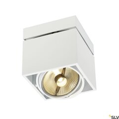 SLV потолочный светильник Kardamod цена и информация | Потолочные светильники | kaup24.ee