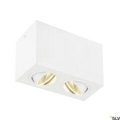 SLV потолочный светильник Triledo цена и информация | Потолочные светильники | kaup24.ee