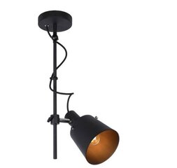 Lucide потолочный светильник Ouinny цена и информация | Потолочные светильники | kaup24.ee