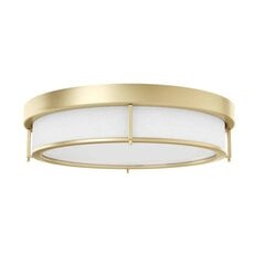 Orlicki Design laelamp Romi цена и информация | Потолочные светильники | kaup24.ee