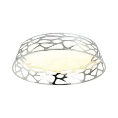 Orlicki Design laelamp Forina цена и информация | Потолочные светильники | kaup24.ee