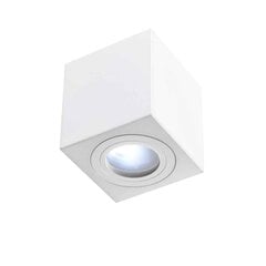 Orlicki Design laelamp Bianco цена и информация | Потолочные светильники | kaup24.ee