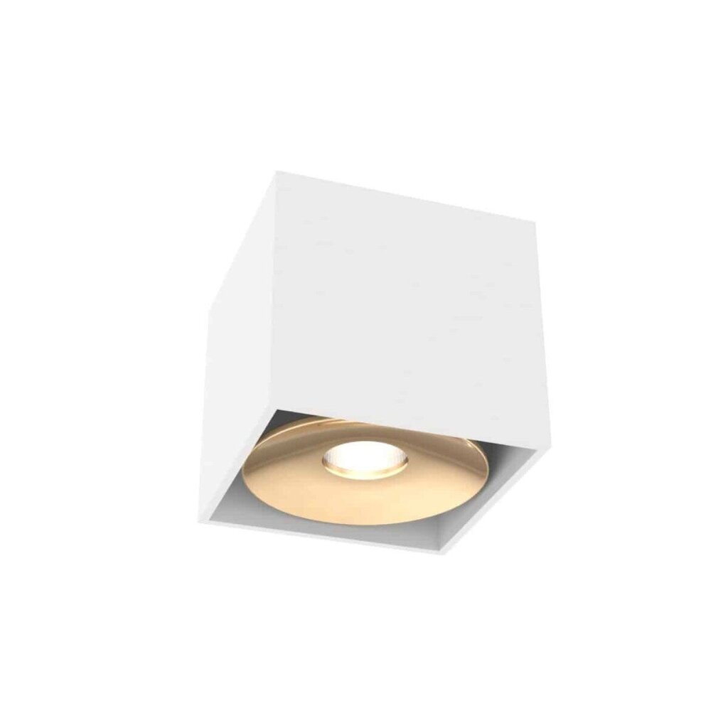 Orlicki Design laelamp Cardi hind ja info | Laelambid | kaup24.ee