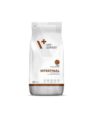 VetExpert Veterinary Diet Dog Intestinal корм для собак всех пород, 12 кг цена и информация | Сухой корм для собак | kaup24.ee