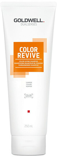 Šampoon juuksevärvi taaselustamiseks Goldwell Dualsenses Color Revive, 250ml цена и информация | Šampoonid | kaup24.ee