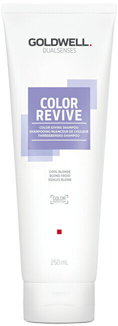 Šampoon juuksevärvi taaselustamiseks Goldwell Cool Blonde Dualsenses Color Revive, 250ml hind ja info | Šampoonid | kaup24.ee