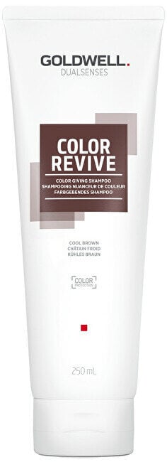 Šampoon Goldwell Dualsenses Color Revive Cool Brown, 250 ml цена и информация | Šampoonid | kaup24.ee