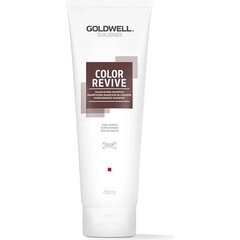 Šampoon Goldwell Dualsenses Color Revive Cool Brown, 250 ml цена и информация | Шампуни | kaup24.ee