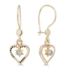 Kuldkõrvarõngad teemantidega naistele Beat Of Love hind ja info | Kõrvarõngad | kaup24.ee