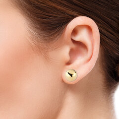 Kuldsed kõrvarõngad hind ja info | Kõrvarõngad | kaup24.ee