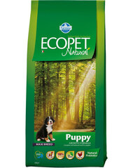 Farmina Ecopet Natural корм для собак крупных пород с курицей, 12 кг цена и информация | Сухой корм для собак | kaup24.ee