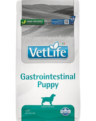 Farmina Vet Life Gastrointestinal Puppy корм для молодых собак с птицей и рисом, 2 кг цена и информация | Сухой корм для собак | kaup24.ee