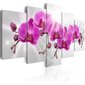 Maal - Abstract Garden: Pink Orchids цена и информация | Seinapildid | kaup24.ee