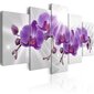 Maal - Abstract Garden: Purple Orchis hind ja info | Seinapildid | kaup24.ee