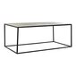 Diivanilaud DKD Home Decor Metall Alumiinium, 111,7 x 61 x 43 cm цена и информация | Diivanilauad | kaup24.ee