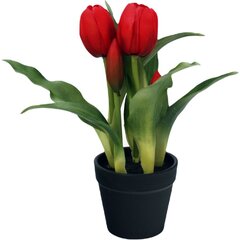Tulipany w doniczce czerwone 23 cm цена и информация | Детали интерьера | kaup24.ee