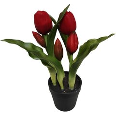 Tulipany w doniczce czerwone 23 cm цена и информация | Детали интерьера | kaup24.ee