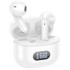 Borofone TWS Bluetooth Earphones BW53 Elegant white цена и информация | Наушники | kaup24.ee