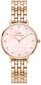 Käekell naistele Daniel Wellington DW00100617 hind ja info | Naiste käekellad | kaup24.ee