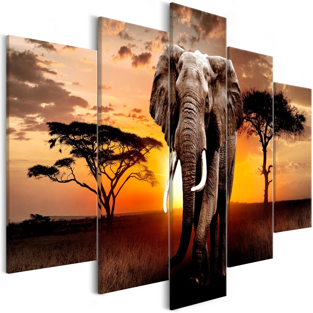 Maal - Wandering Elephant (5 Parts) Wide hind ja info | Seinapildid | kaup24.ee