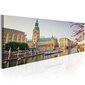 Maal - Hamburg Town Hall hind ja info | Seinapildid | kaup24.ee