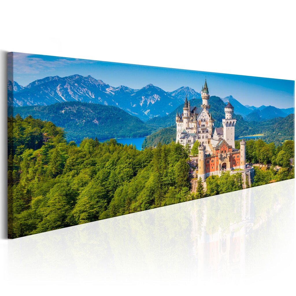 Maal - Magic Places: Neuschwanstein Castle hind ja info | Seinapildid | kaup24.ee