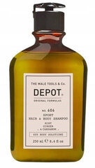 Keha- ja juuksepesuvahend Depot No.606 Sport Hair &amp; Body Shampoo, 250 ml hind ja info | Dušigeelid, õlid | kaup24.ee