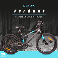 Laste jalgratas MTB Shimano 20", must hind ja info | Jooksurattad | kaup24.ee