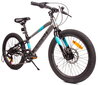 Laste jalgratas MTB Shimano 20", must цена и информация | Jalgrattad | kaup24.ee