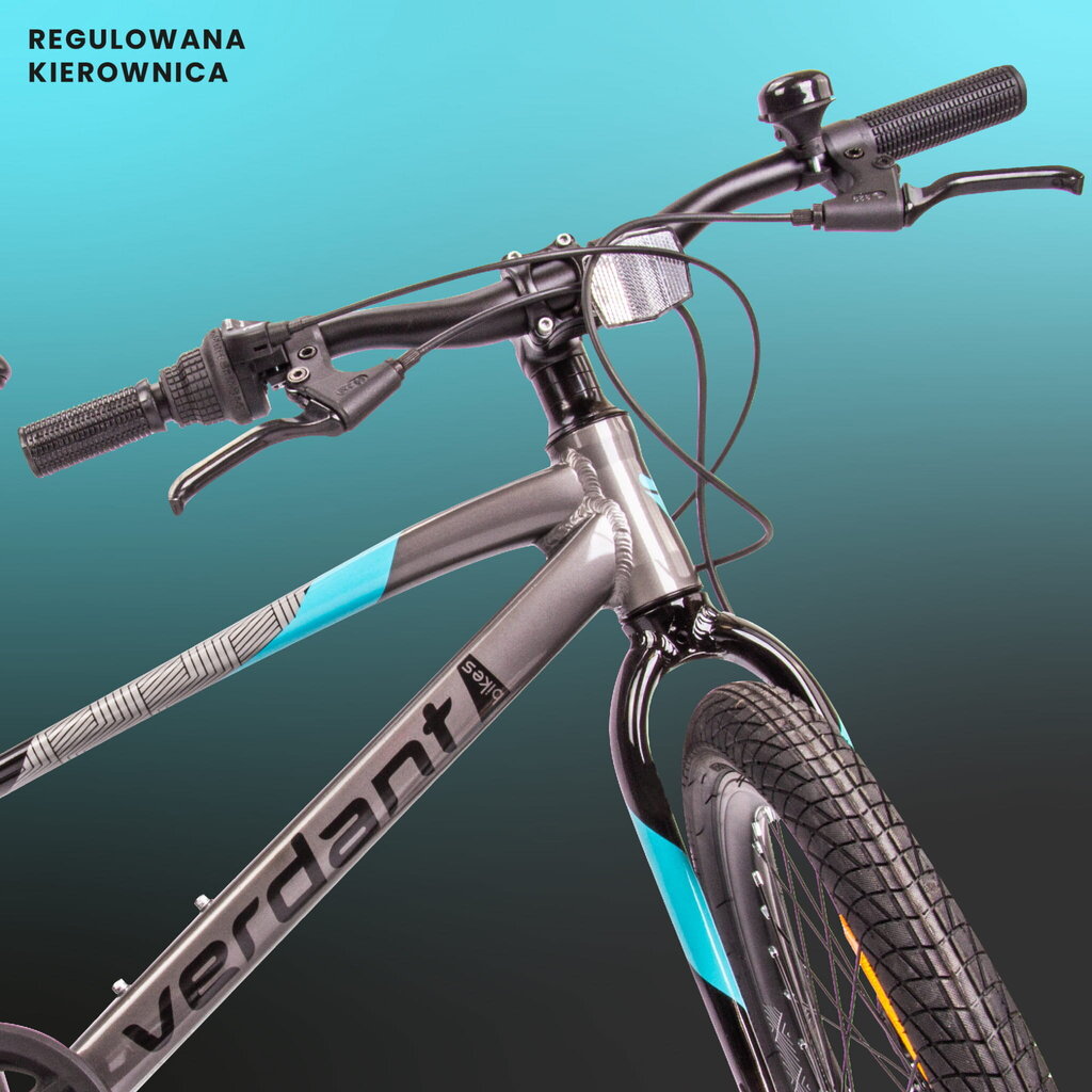 Laste jalgratas MTB Shimano 20", must цена и информация | Jalgrattad | kaup24.ee