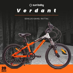 Велосипед 20 дюймов для мальчика легкий MTB Shimano 6 передач Verdant Brier цена и информация | Велосипеды | kaup24.ee