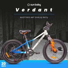 Велосипед 20 дюймов для мальчика легкий MTB Shimano 6 передач Verdant Calix цена и информация | Велосипеды | kaup24.ee