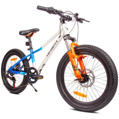Laste jalgratas MTB Shimano 20", valge hind ja info | Jalgrattad | kaup24.ee