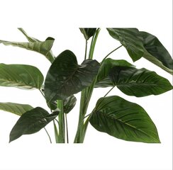 Искусственное растение стрелиция в горшке, зеленое, 120 см. цена и информация | Искусственные цветы | kaup24.ee