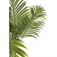 Kunstpalm, 115 cm hind ja info | Kunstlilled | kaup24.ee