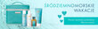 Reisikomplekt Moroccanoil Styling Kit Into the Light kosmeetikakott цена и информация | Šampoonid | kaup24.ee