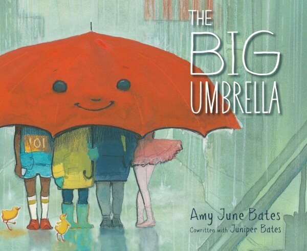 Big Umbrella цена и информация | Väikelaste raamatud | kaup24.ee