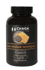 Must küüslauk + taruvaik kapsel, 120tk hind ja info | Vitamiinid, toidulisandid, preparaadid tervise heaoluks | kaup24.ee