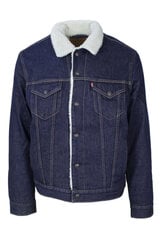 КУРТКА LEVI'S 16365 цена и информация | Мужские куртки | kaup24.ee