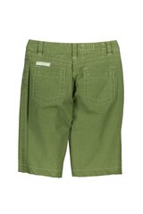 Lühikesed püksid meestele Murphy & Nye, roheline hind ja info | Meeste lühikesed püksid | kaup24.ee
