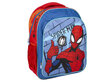 Spiderman Laste seljakott, 40 cm hind ja info | Koolikotid, sussikotid | kaup24.ee