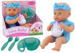 Кукла-младенец с аксессуарами и в голубом наряде, Lean Toys цена и информация | Игрушки для девочек | kaup24.ee