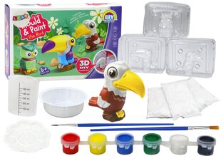 Loominguline 3D kipsikomplekt, linnud hind ja info | Arendavad mänguasjad | kaup24.ee